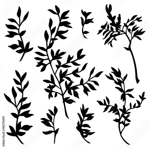 branches silhouette vector set