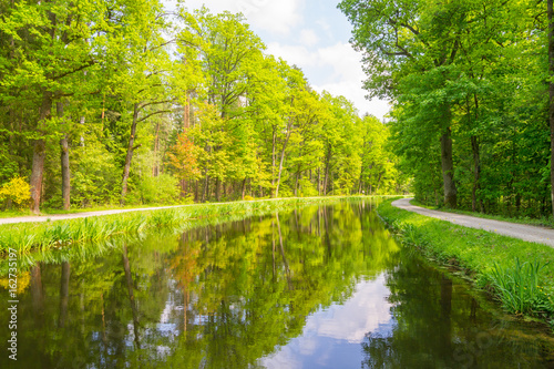 Old Canal trough a Forrest