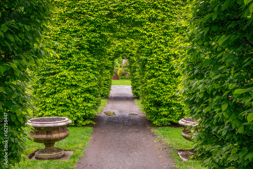Green arch of trees in the park. Manito Park and Botanical Gardens, Spokane, Washington, United States