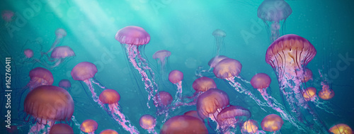 jellyfish, Cross process technique for background use