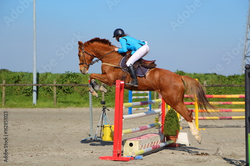 Saut d'obstacle lors d'un concours hippique