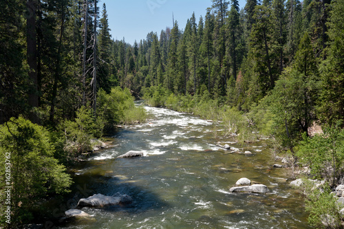 North Fork of the Stanislaus River passing through Calaveras Big Trees State Park, California, USA, on a clear sky day, viewed from a bridge