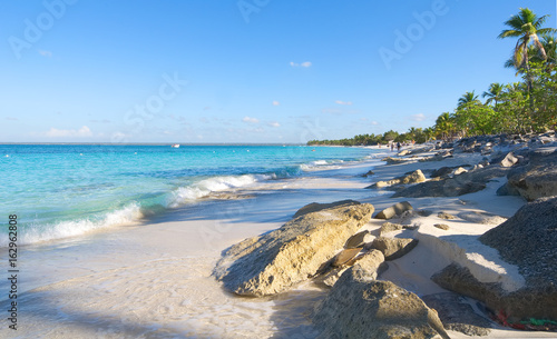 Catalina island - Playa de la isla Catalina - Caribbean tropical beach and sea