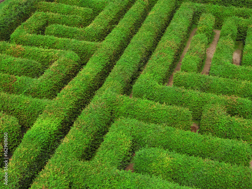 green labyrinth