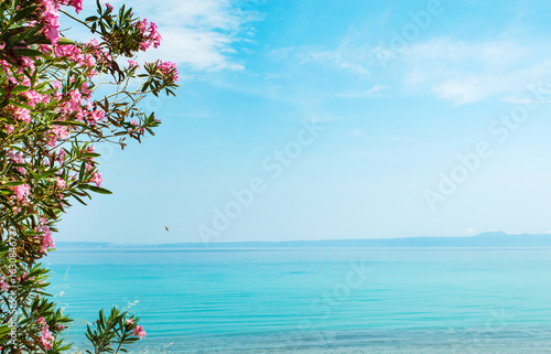 Blue sea surrounded by flowers