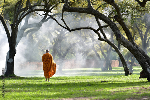 The monk walks in the park, the monk meditates under the Buddha's tree at Wat Ayutthaya, the Buddhist monk temple in Thailand.