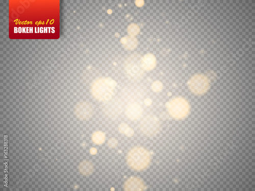 Golden bokeh lights with glowing particles isolated. Vector