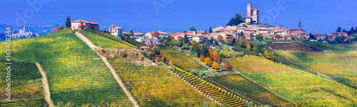 Serralunga d'alba village in Piemonte with vast vineyards. North of Italy