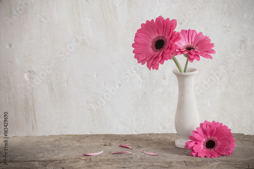pink gerbera on background old wall