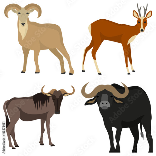 Set of hoofed animals color flat icons for web and mobile design