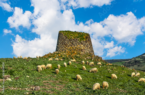 Herd of sheep by a nuraghe in Sardinia