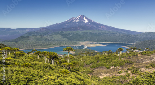Volcano Llaima at Conguillio N.P. (Chile) - HDR panorama