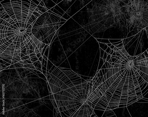 Spider web silhouette against black wall - halloween theme dark background