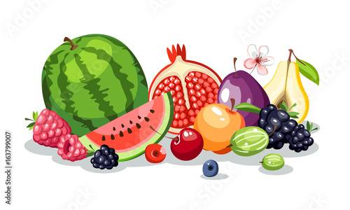 fruits berries composition lie down watermelon horizontal harvest