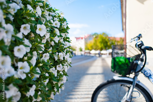 rower i piękne kwiaty uliczne latem