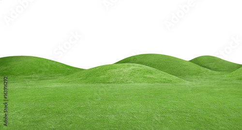 panorama of green hills is on white background