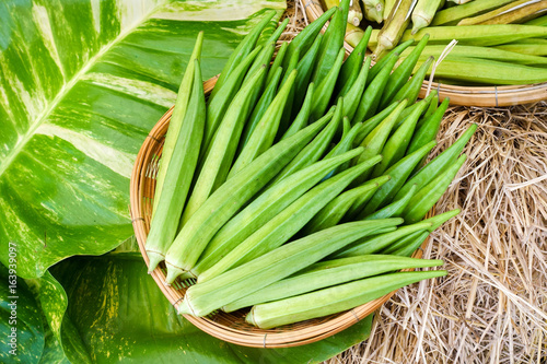 Fresh green okra in basket