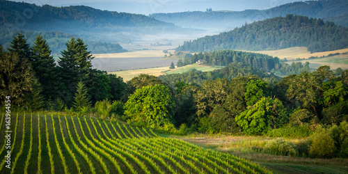 Willamette Vallley, Wine Country