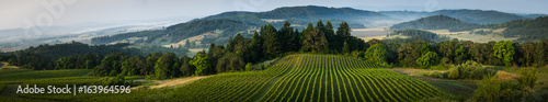 Willamette Vallley, Wine Country panorama