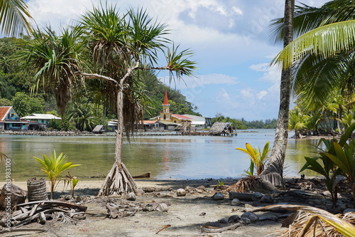 Pandanus and coconut trees on the shore of a natural channel between the ocean and the lake Fauna Nui near the village of Maeva, French Polynesia, Huahine island, south Pacific