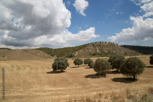 Sicilian landscape in the area of Caltanissetta, farmland, spring