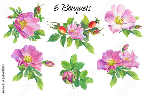 Rose Hip. Floral set.Watercolor wild flowers on a white background.Dog-rose. illustration.Design element for scrapbooking, Invitations,greeting card,books and journals, decoupage,weddings, birthdays.
