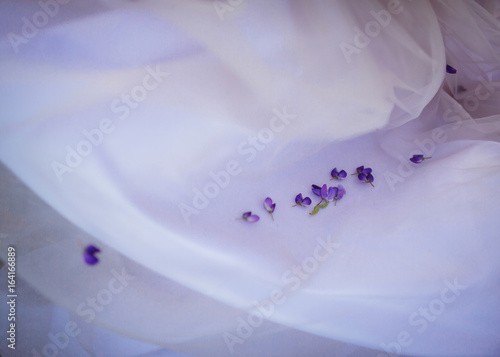 Little violet petals lie on white cloth