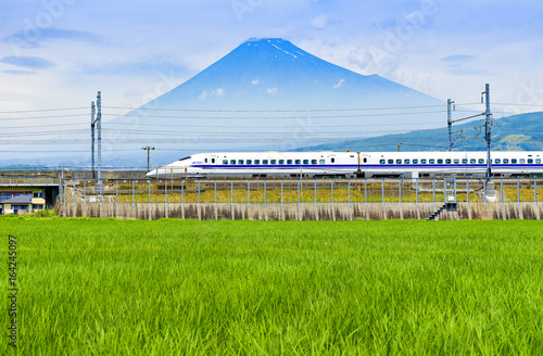 Bullet Train and Fuji Mountain with Rice Field Foreground at Fuji City, Shizuoka, Japan