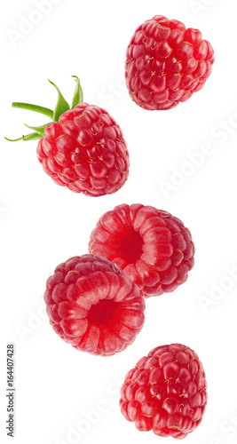 Isolated flying berries. Falling raspberry fruits isolated on white background with clipping path