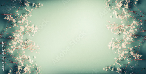 Pretty Little white Gypsophila flowers on turquoise green background, pretty floral frame, top view, copy space, banner
