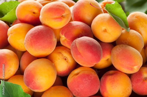 Ripe apricots fruit with leaves background