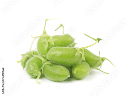 Green chickpea on a branch, and in the pod isolated on white background