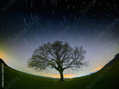 beautiful sky at night with startrails and silhouette of lonely tree on field