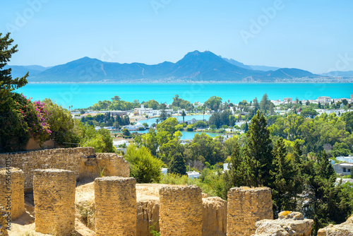 Ancient ruins of Carthage and seaside landscape. Tunis, Tunisia, Africa