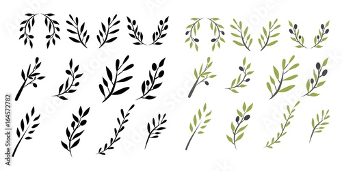 Olive brunch set. Digital illustration