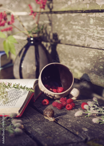 Beautiful stillife with a book and plants