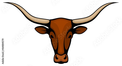 Vector illustration of the head of a longhorn steer.