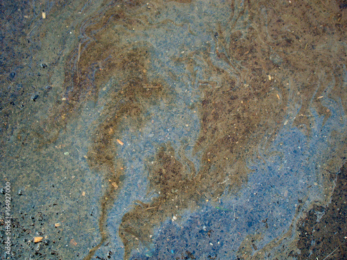 Oil stains in a puddle