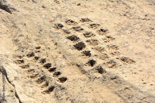 Ancient dot carvings at Jebel Jassassiyeh site in Northern Qatar.