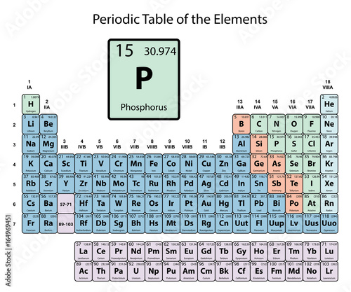 Phosphorus big on periodic Table of the Elements with atomic number, symbol and weight with color delimitation on white background vector