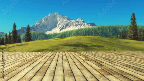 View from a wooden terrace