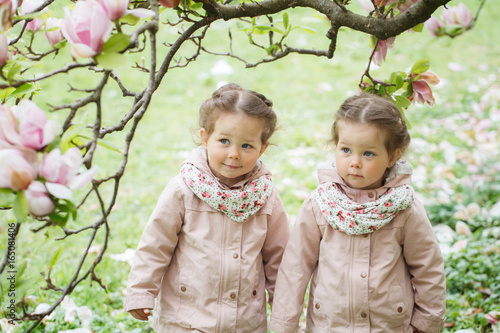 Identical twin girls under blooming magnolia