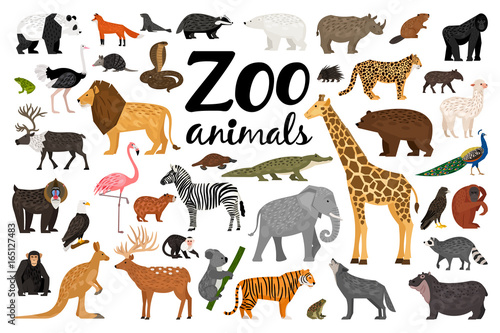 Zoo animals collection