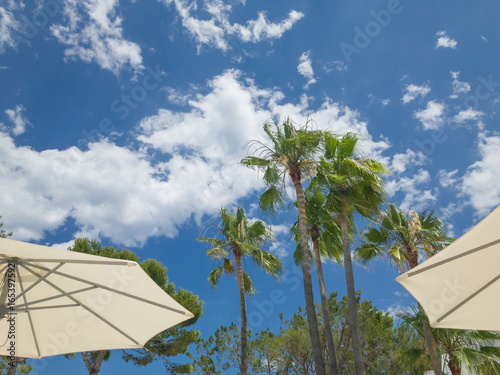 Summer vacations background, palms and sun umbrellas, Mallorca Spain