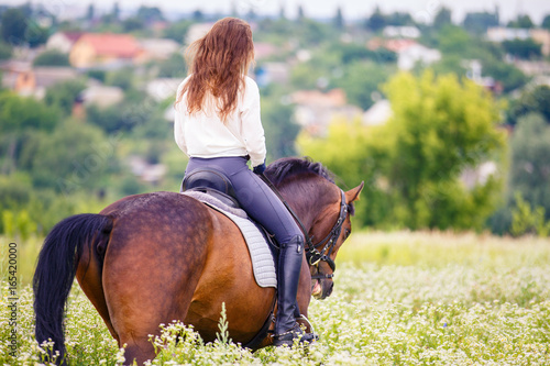 Young rider woman with curly brown hair in white shirt walking on camomile field. Rear view equestrian background with copy space