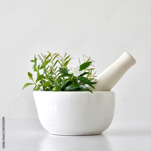 Alternative herbal medicine, Mortar with healing botanical herbs.