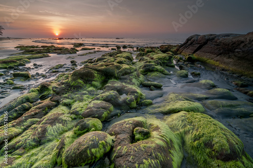 Rocks covered by green moss during sunset. image contain soft focus due to long exposure.