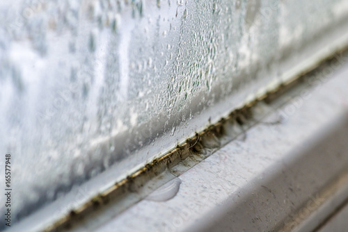 Mold and dirt on window