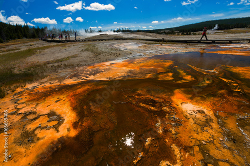 Biscuit Basin in Yellowstone National Park. Thermal area that is part of the Upper Geyser Basin.