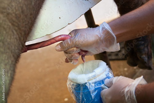 Laboratório de semen